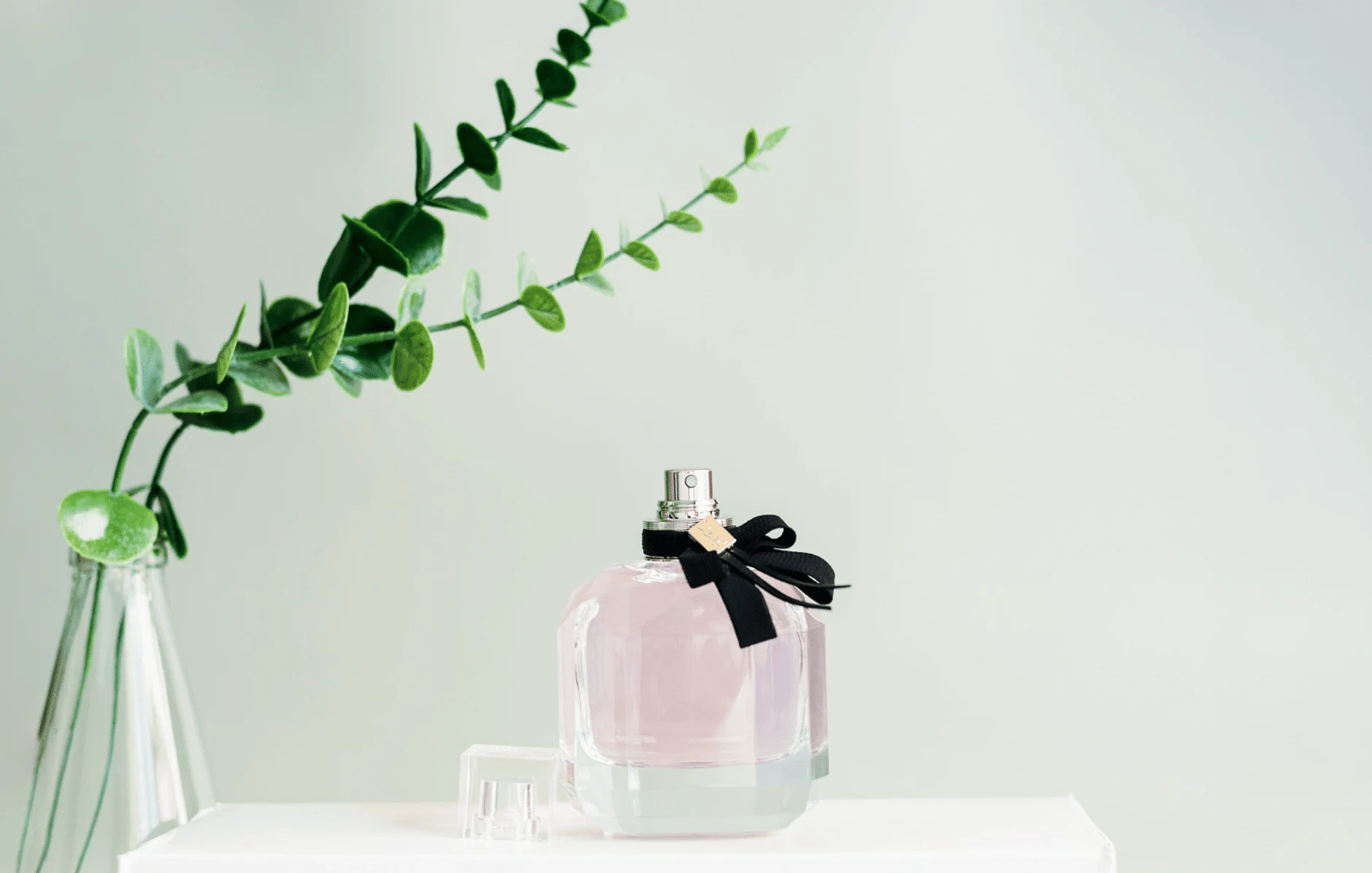 tu-line.com - Fragancia femenina Bloom Elixir - a cfc d ca a f a e cfcc